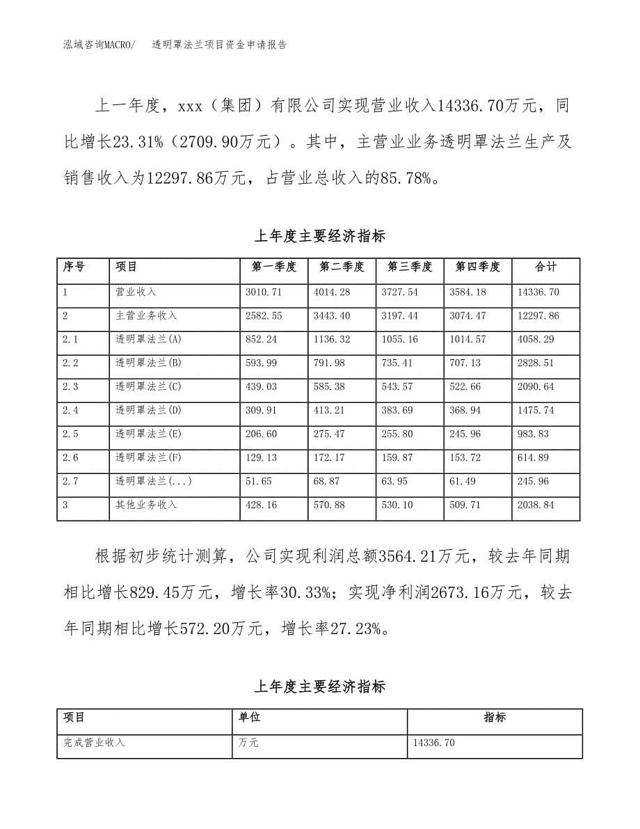 透明罩法兰项目资金申请报告.docx_第5页