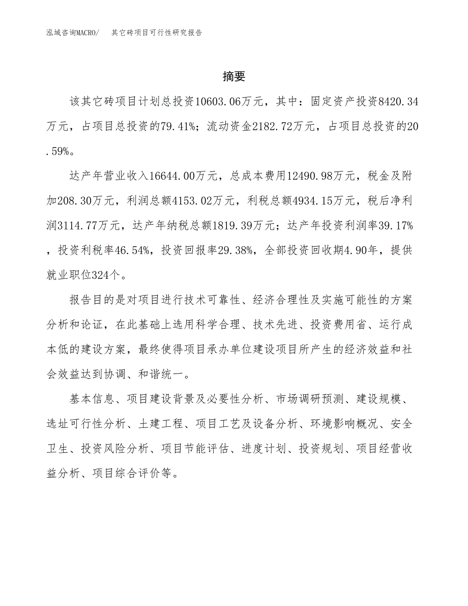 其它砖项目可行性研究报告（总投资11000万元）（52亩）_第2页