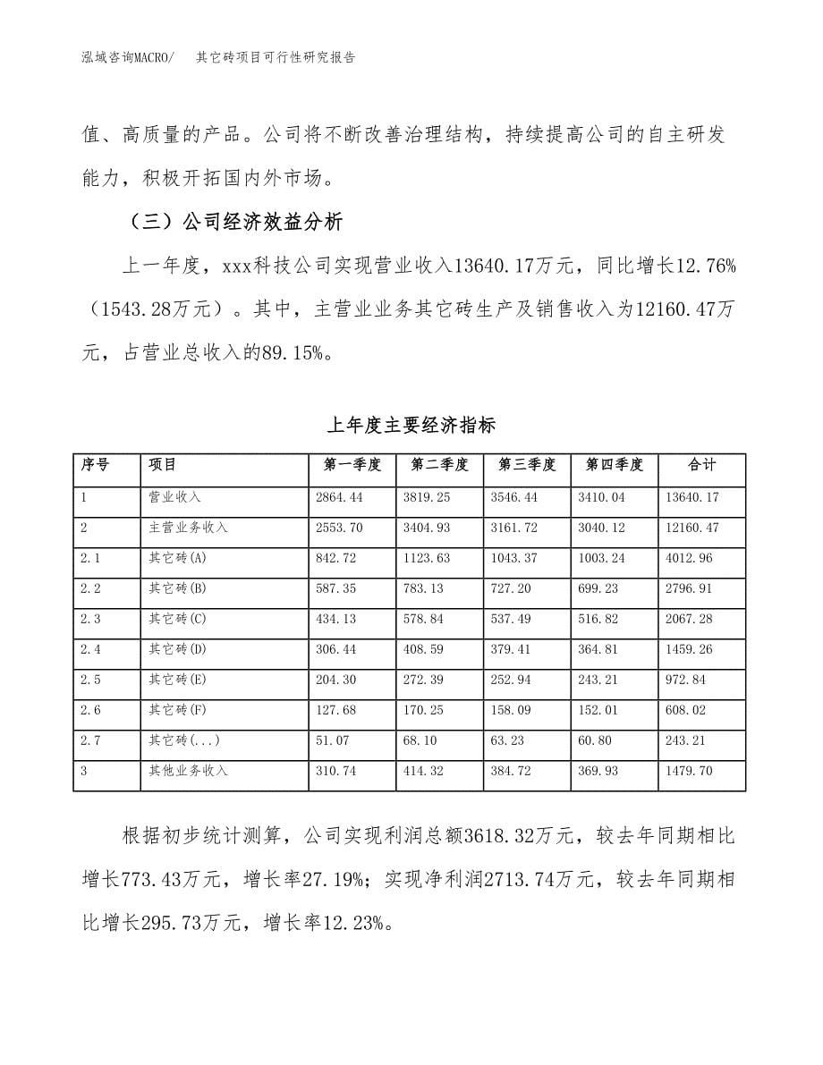 其它砖项目可行性研究报告（总投资11000万元）（52亩）_第5页