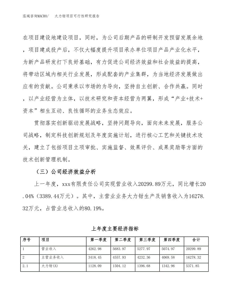 大力钳项目可行性研究报告（总投资9000万元）（40亩）_第5页