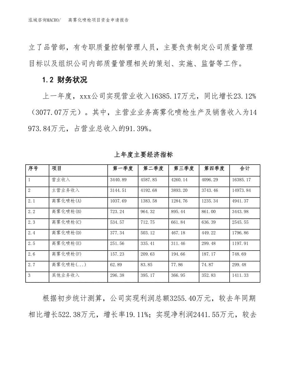 高雾化喷枪项目资金申请报告.docx_第5页