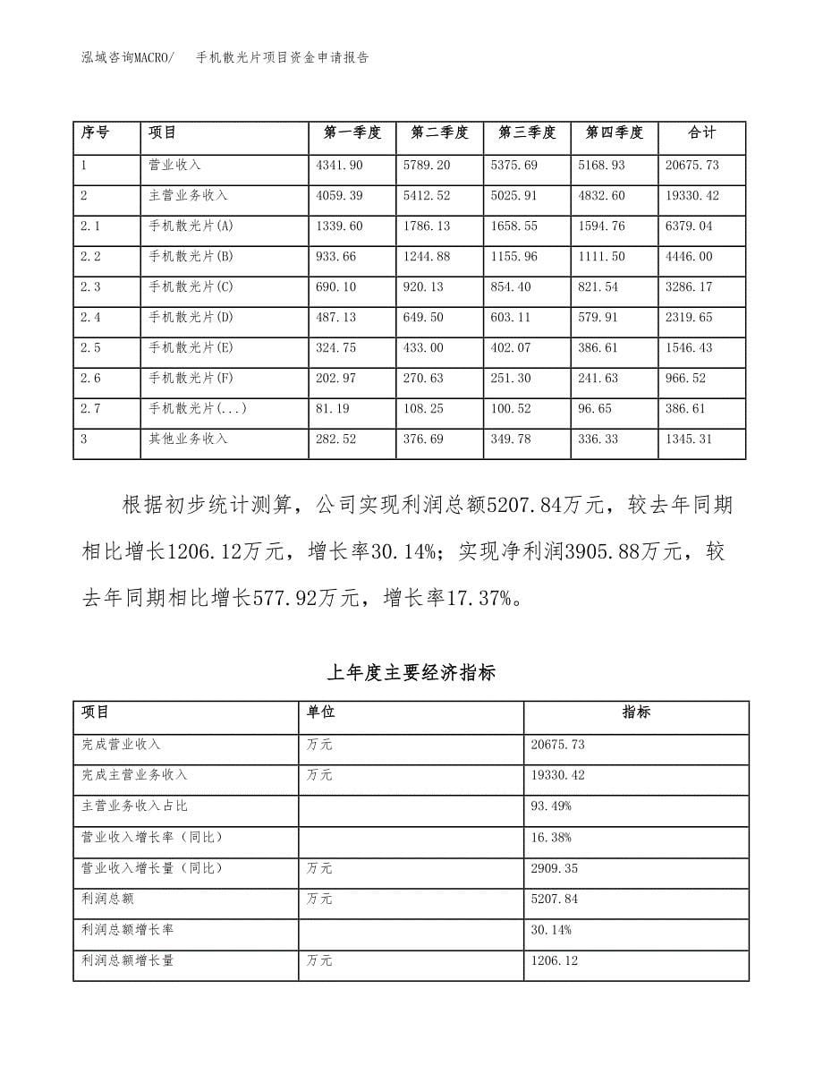 手机散光片项目资金申请报告.docx_第5页