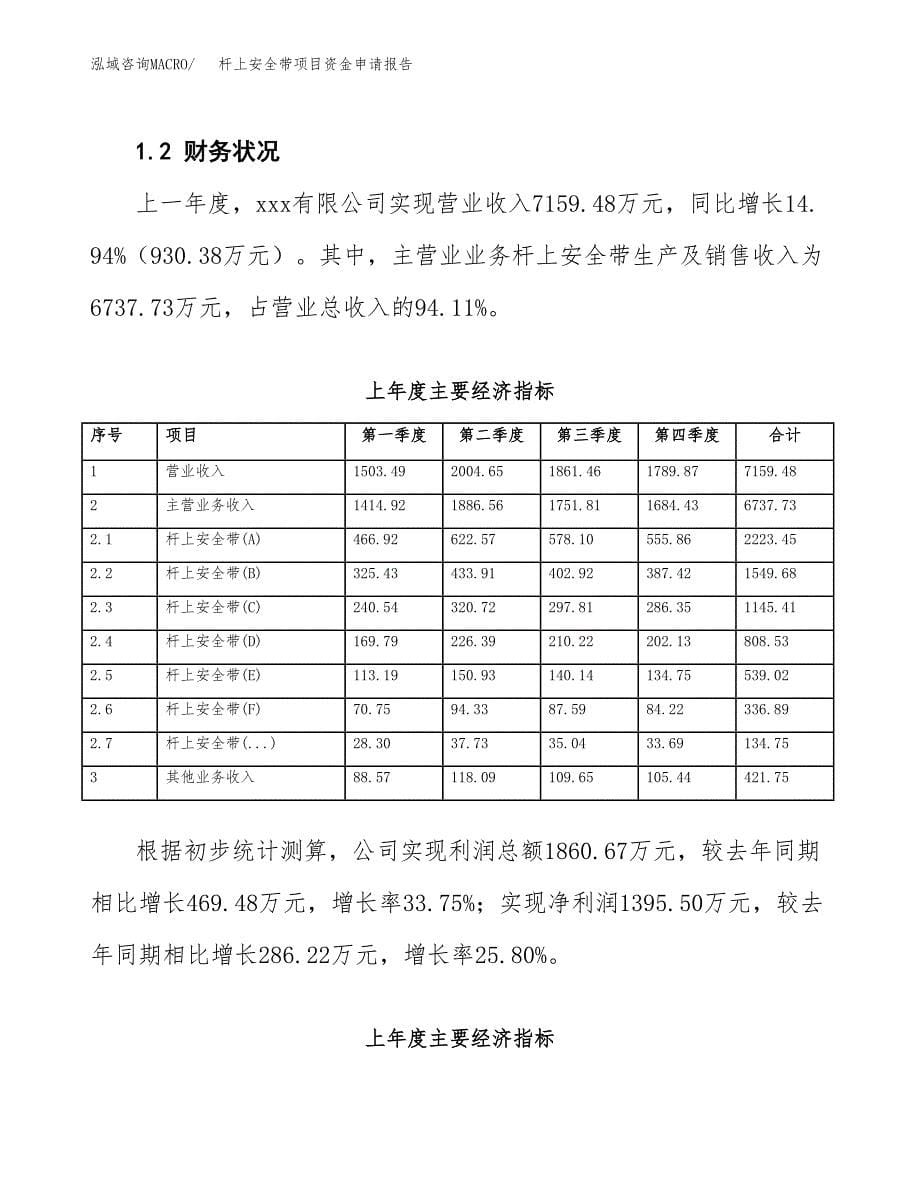 杆上安全带项目资金申请报告.docx_第5页