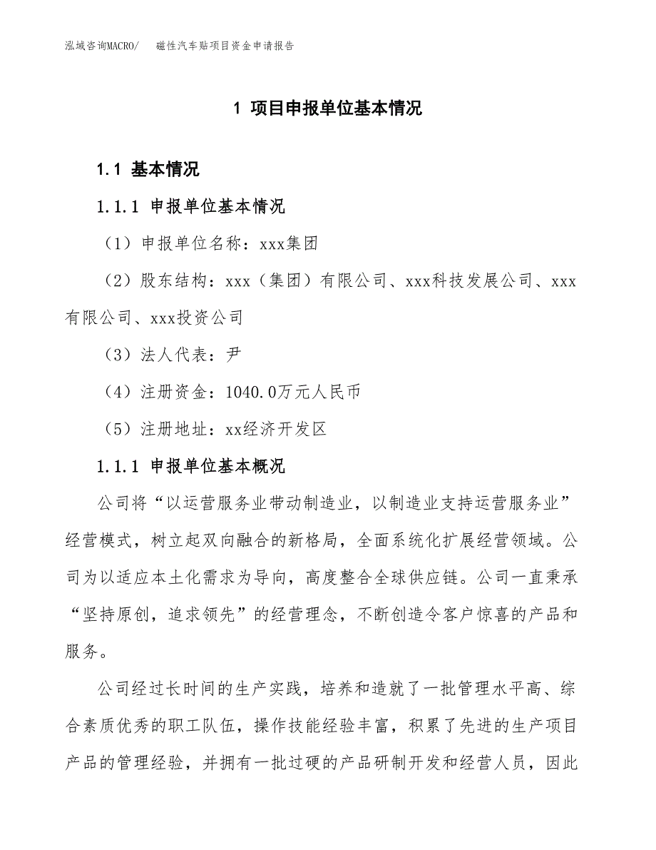 磁性汽车贴项目资金申请报告.docx_第3页