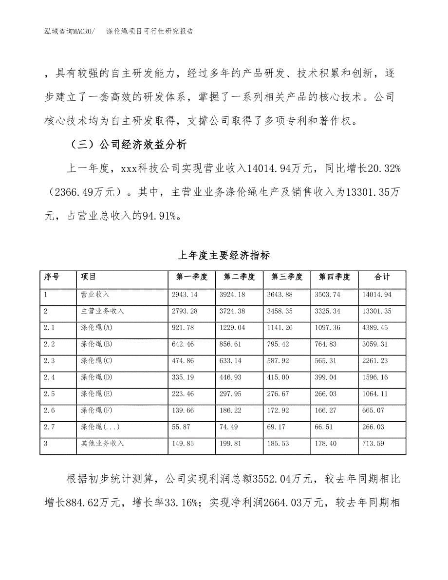 涤伦绳项目可行性研究报告（总投资10000万元）（44亩）_第5页