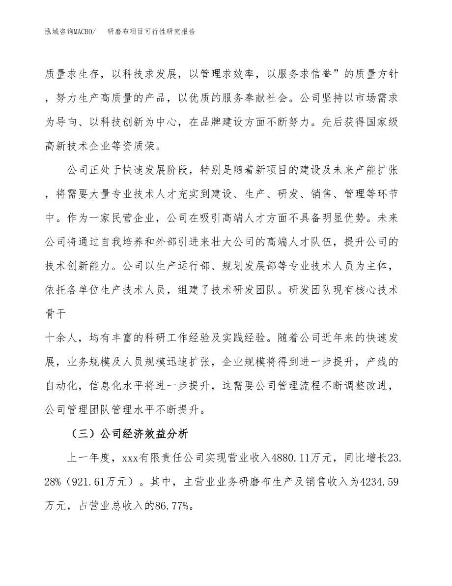 研磨布项目可行性研究报告（总投资6000万元）（28亩）_第5页