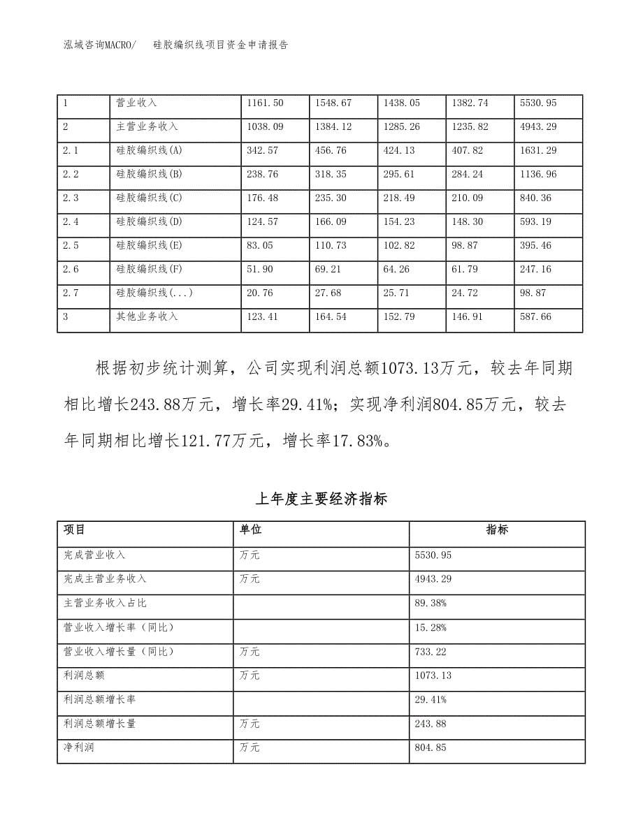 硅胶编织线项目资金申请报告.docx_第5页