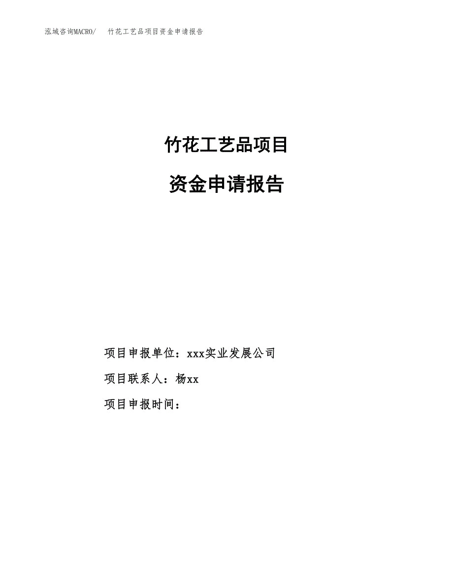 竹花工艺品项目资金申请报告.docx_第1页