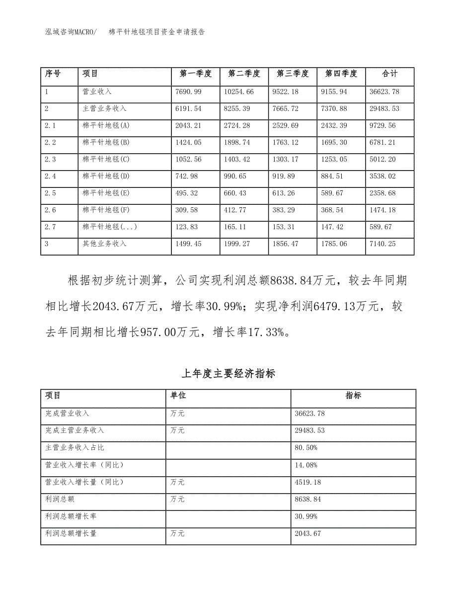 棉平针地毯项目资金申请报告.docx_第5页