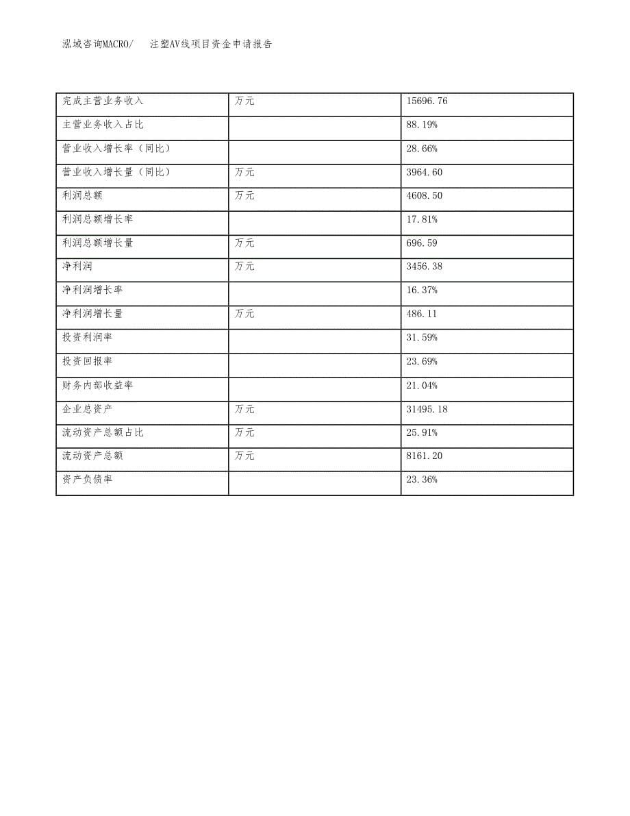 注塑AV线项目资金申请报告.docx_第5页