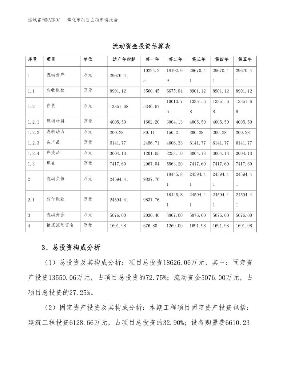 焦化苯项目立项申请报告模板（总投资19000万元）_第5页