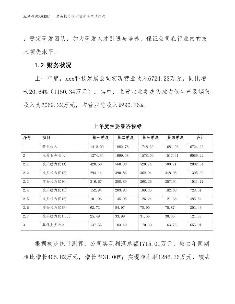 皮头拉力仪项目资金申请报告.docx_第5页