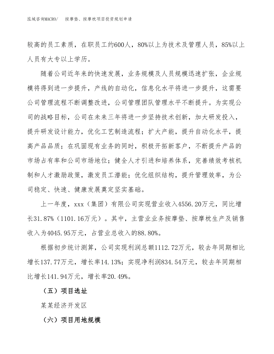 按摩垫、按摩枕项目投资规划申请_第2页