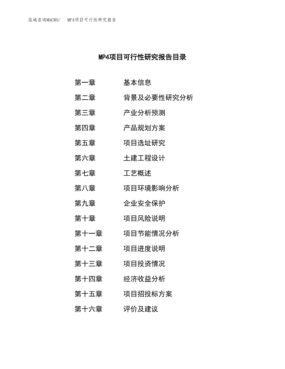 MP4项目可行性研究报告（总投资12000万元）（63亩）_第3页