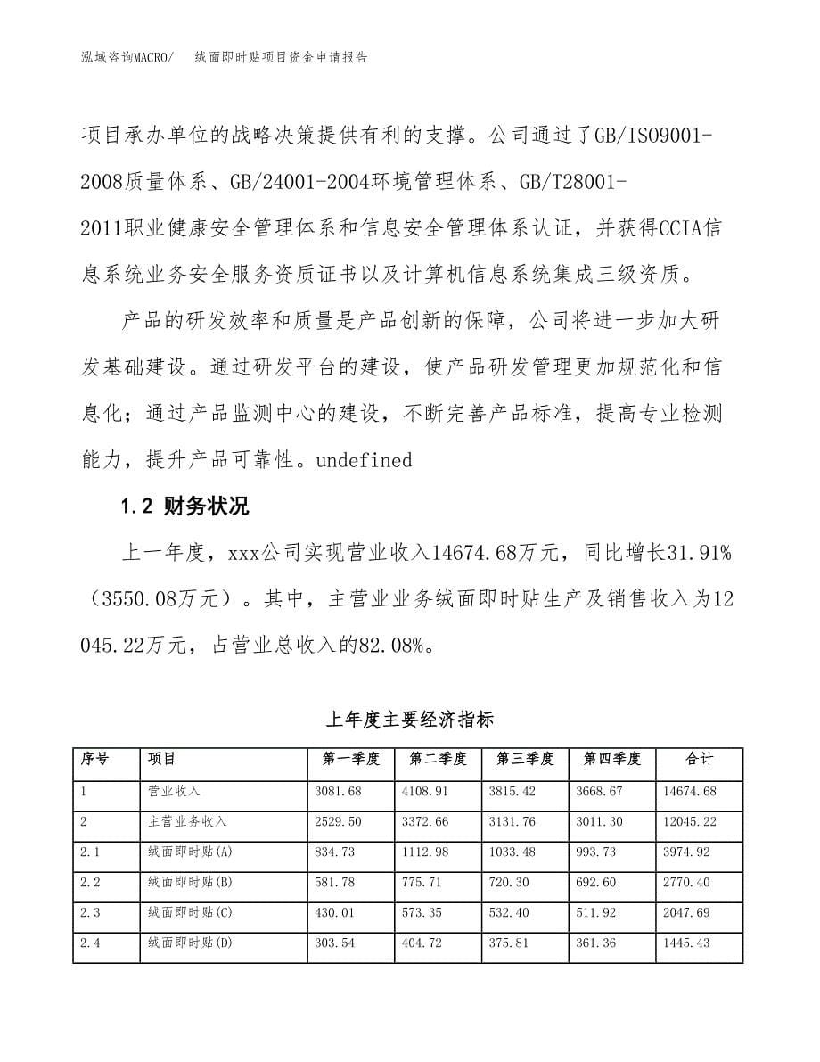 绒面即时贴项目资金申请报告.docx_第5页