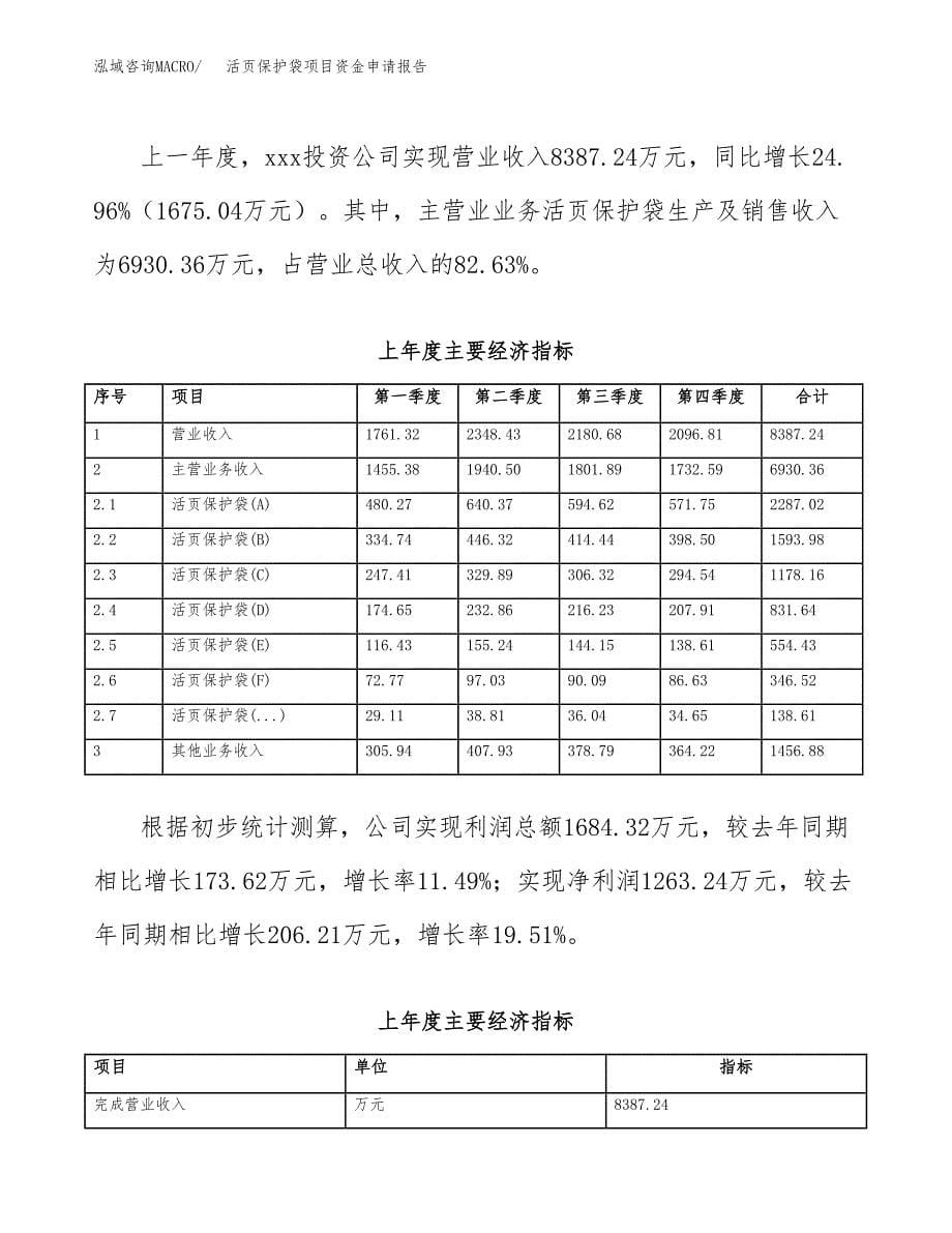 活页保护袋项目资金申请报告.docx_第5页