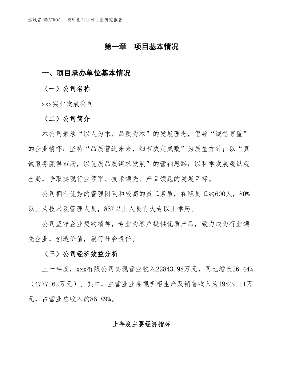 视听柜项目可行性研究报告（总投资19000万元）（79亩）_第4页