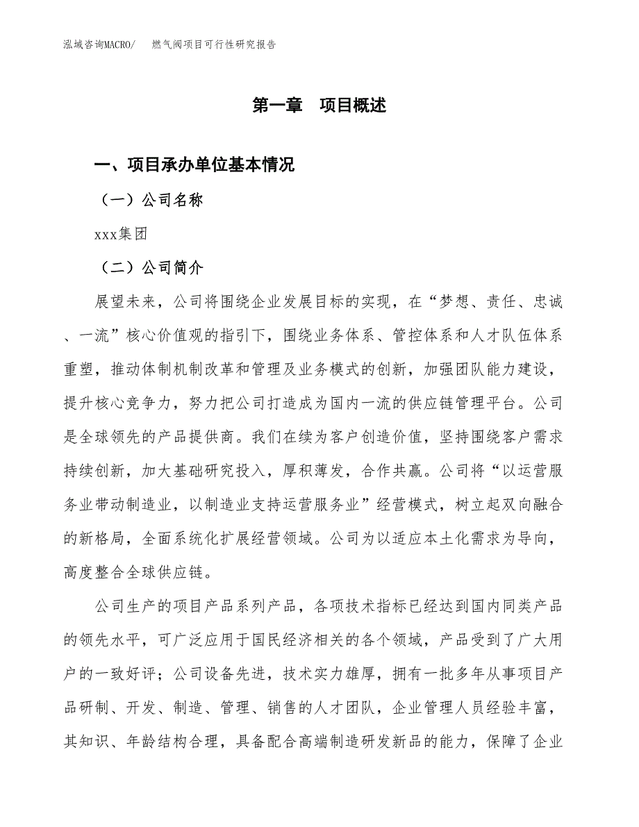 燃气阀项目可行性研究报告（总投资13000万元）（57亩）_第4页