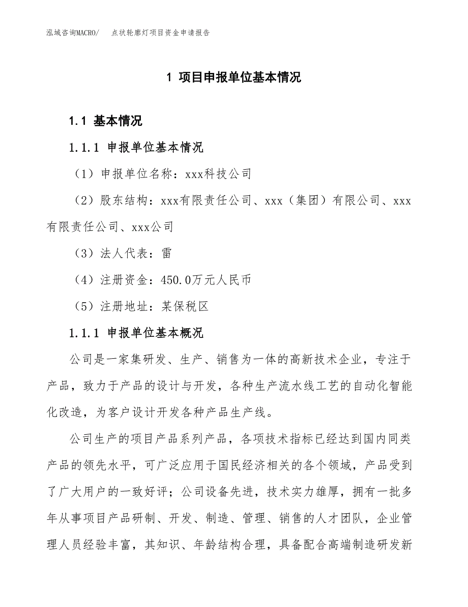 点状轮廓灯项目资金申请报告.docx_第3页