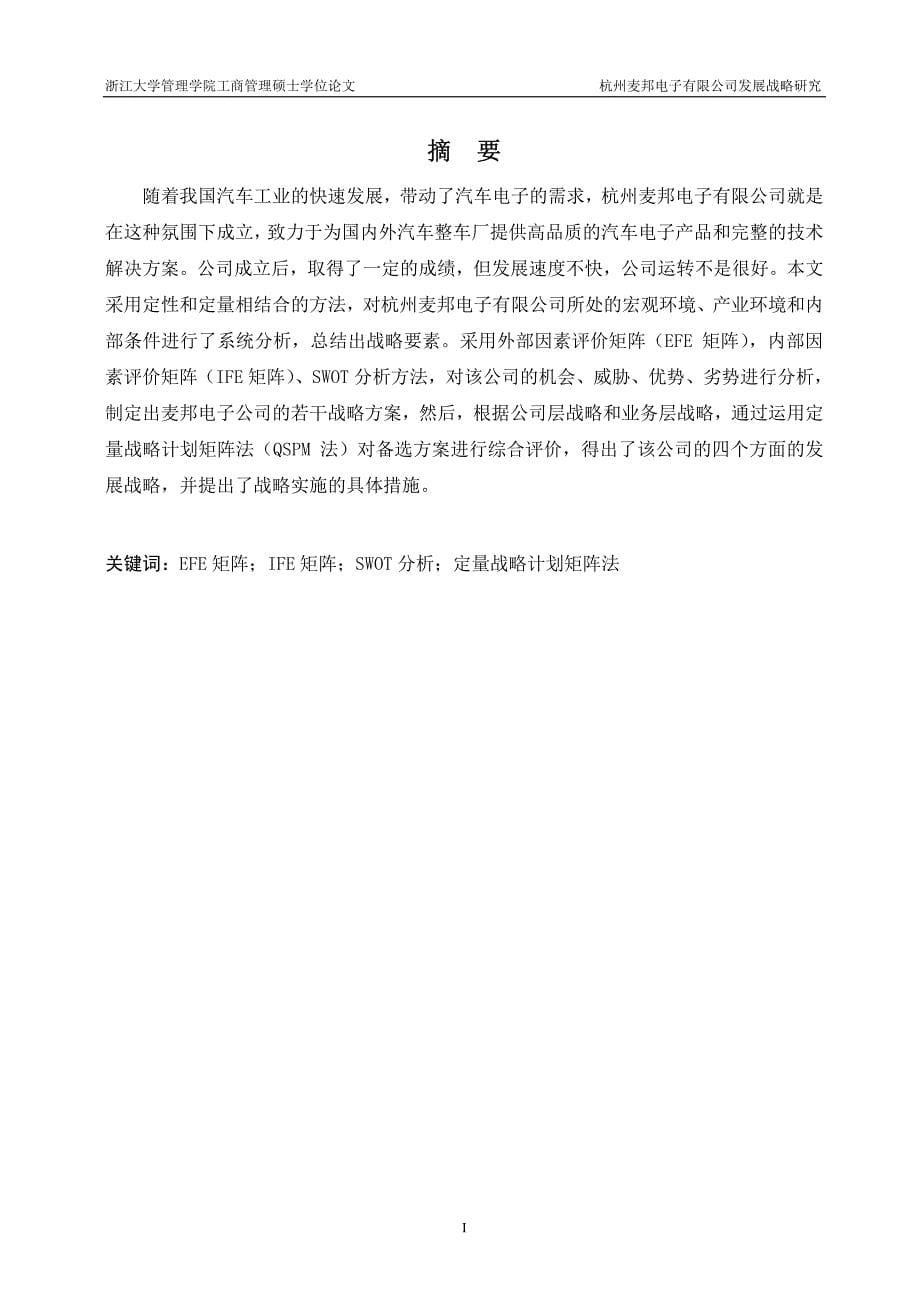 杭州麦邦电子有限公司发展战略研究_第5页