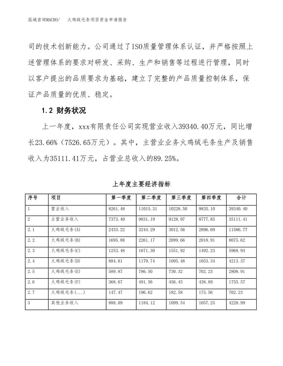 火鸡绒毛条项目资金申请报告.docx_第5页