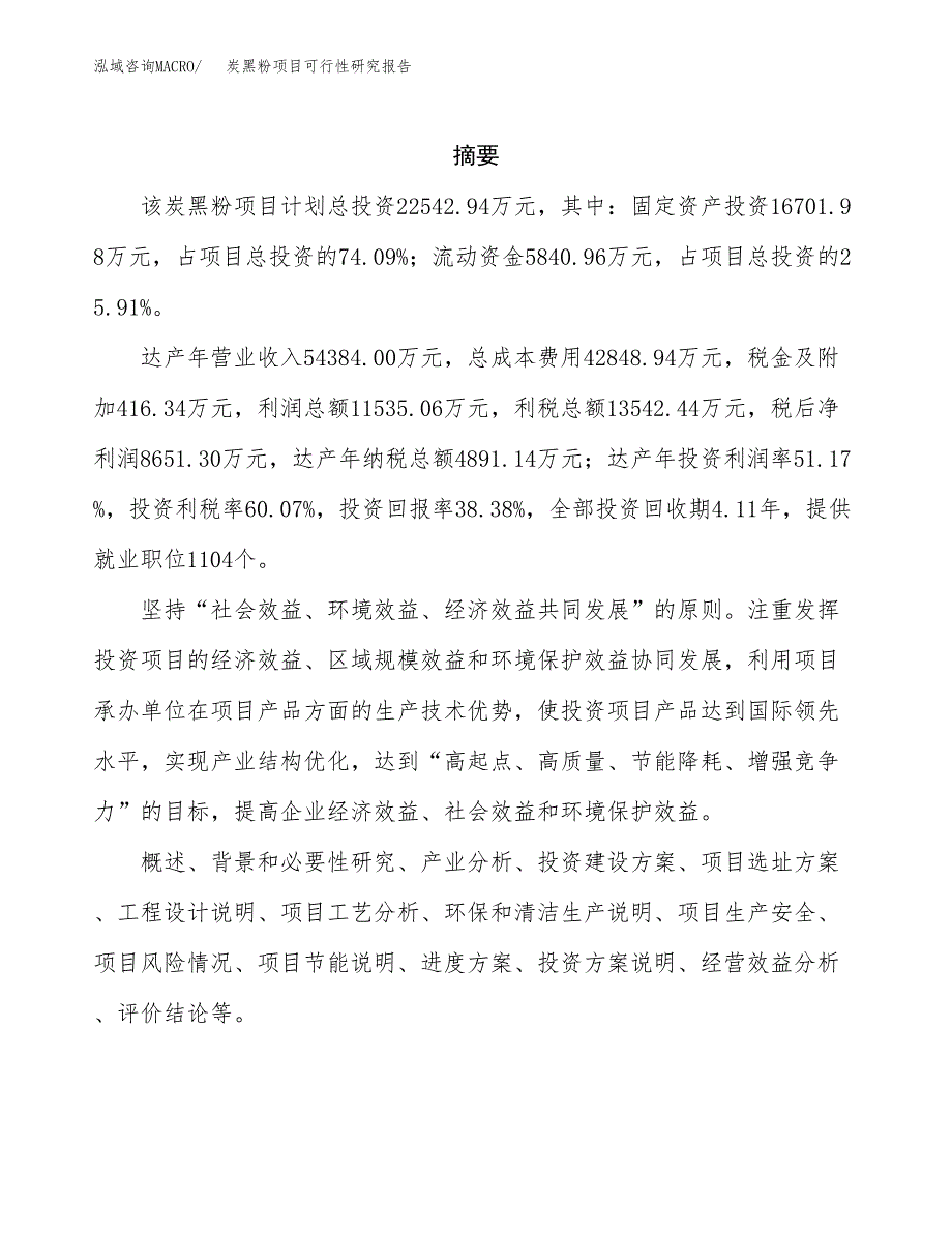 炭黑粉项目可行性研究报告（总投资23000万元）（84亩）_第2页