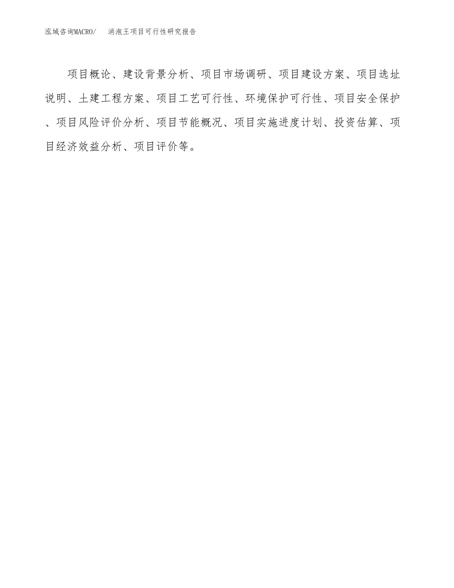 消泡王项目可行性研究报告（总投资16000万元）（64亩）_第3页