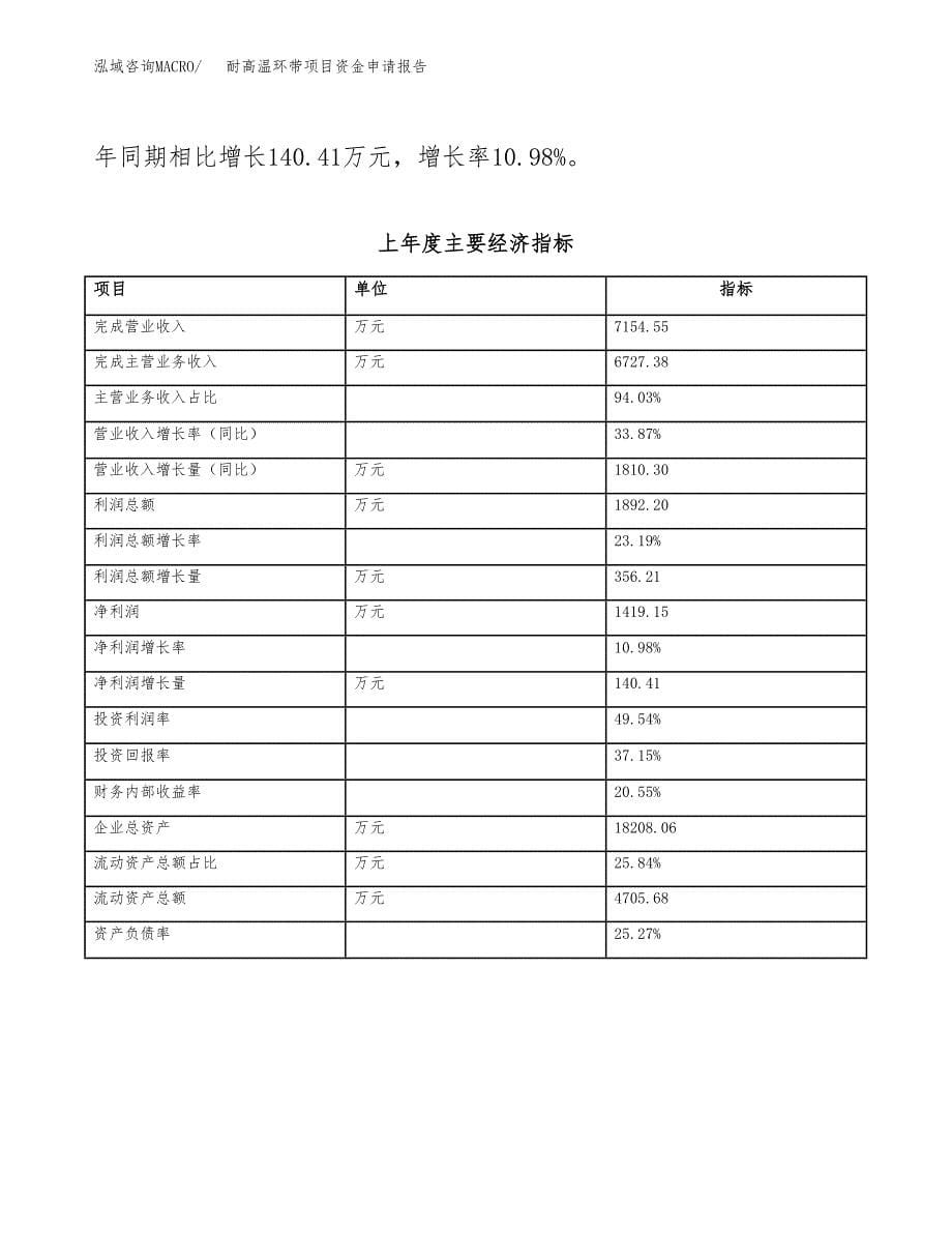 耐高温环带项目资金申请报告.docx_第5页