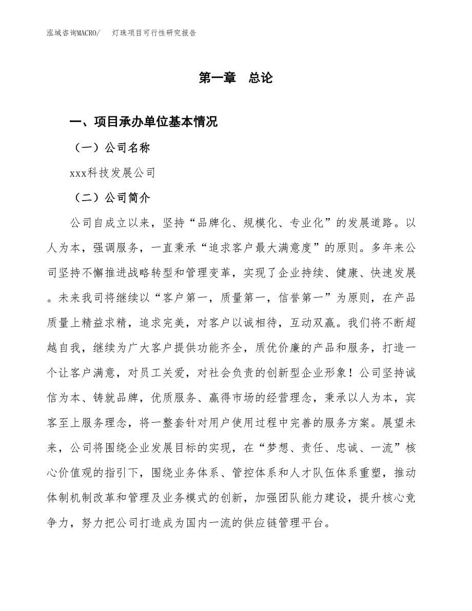 灯珠项目可行性研究报告（总投资3000万元）（16亩）_第5页