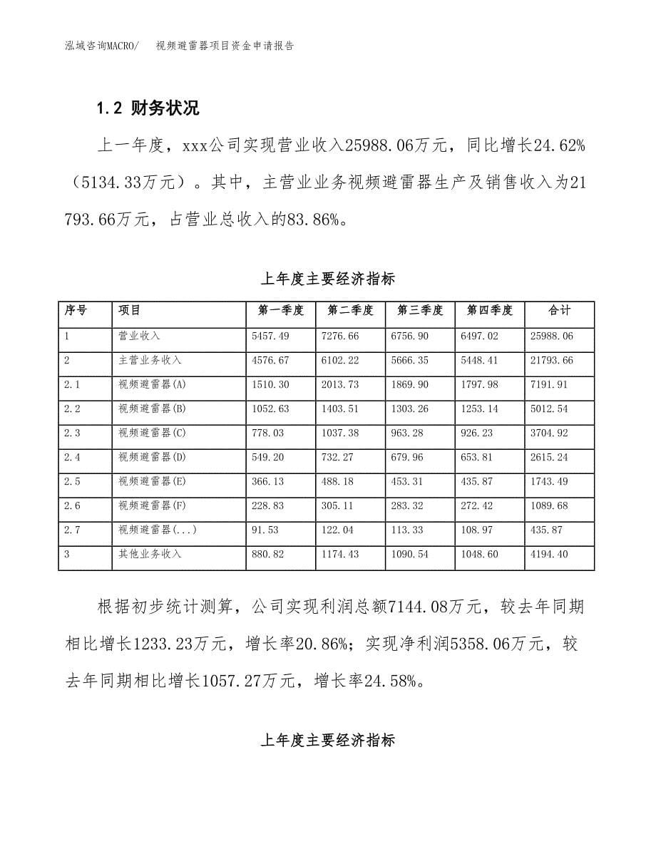 视频避雷器项目资金申请报告.docx_第5页