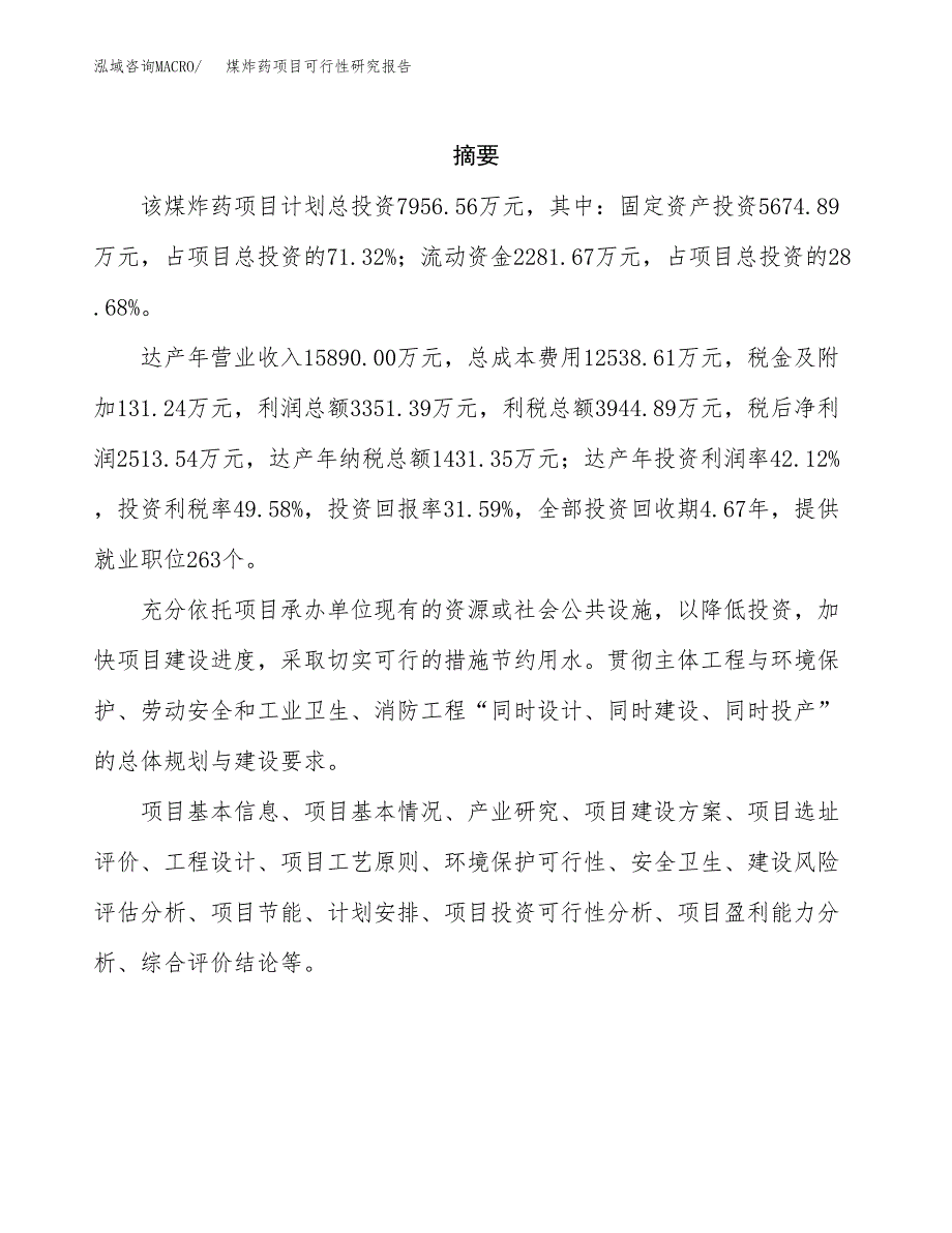 煤炸药项目可行性研究报告（总投资8000万元）（28亩）_第2页