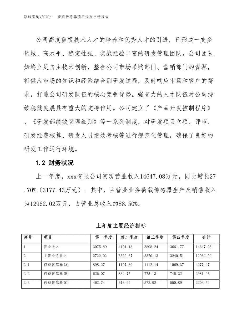 荷载传感器项目资金申请报告.docx_第5页