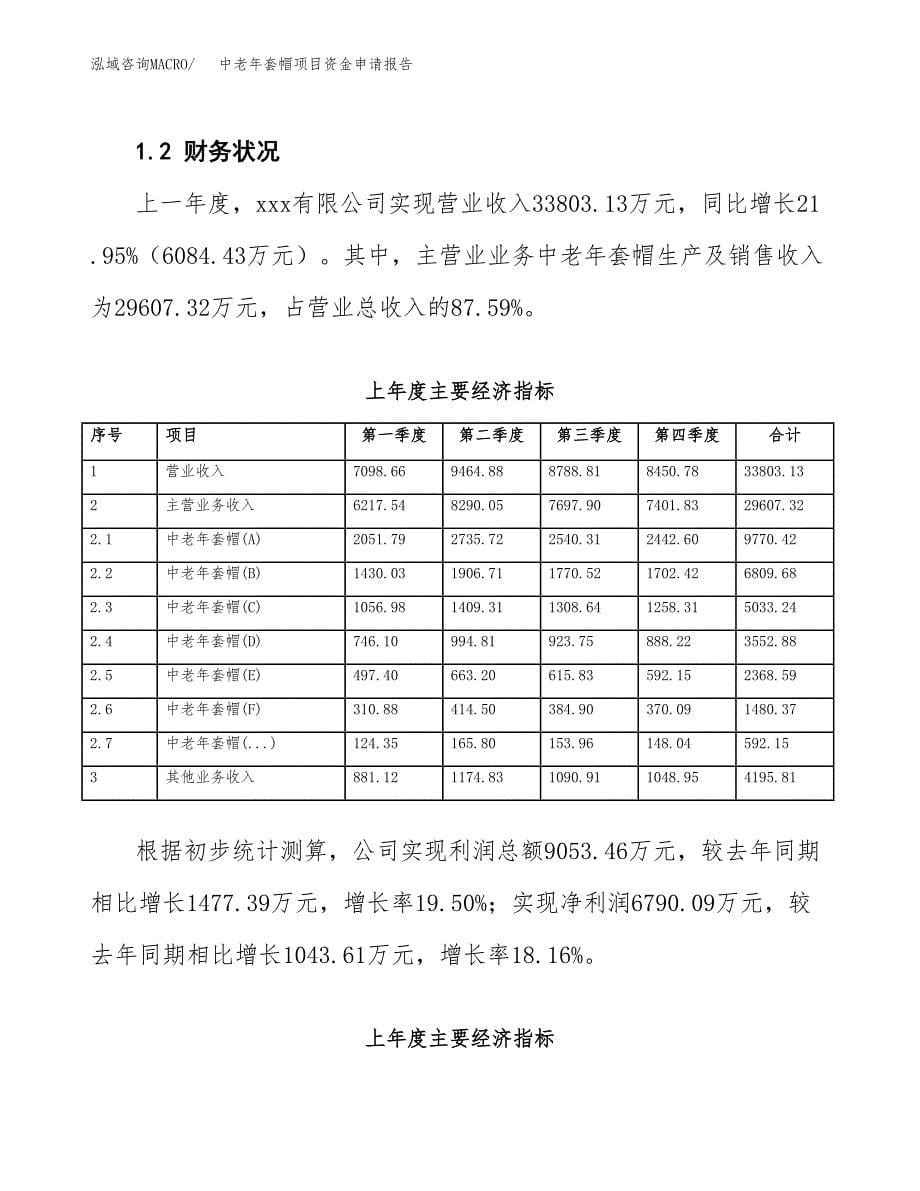 中老年套帽项目资金申请报告.docx_第5页