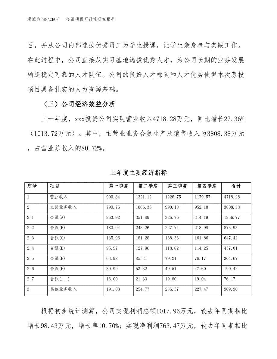 合氮项目可行性研究报告（总投资2000万元）（10亩）_第5页