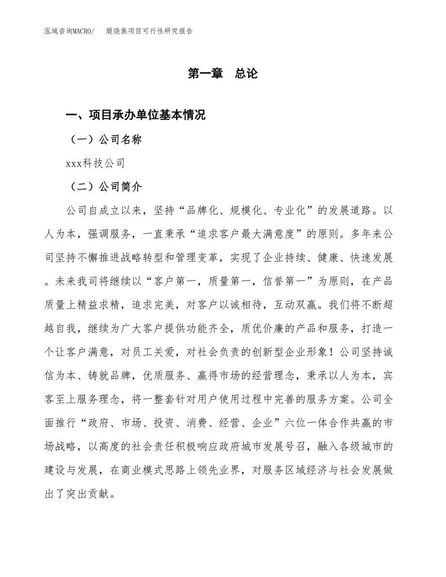 煅烧焦项目可行性研究报告（总投资9000万元）（37亩）_第4页