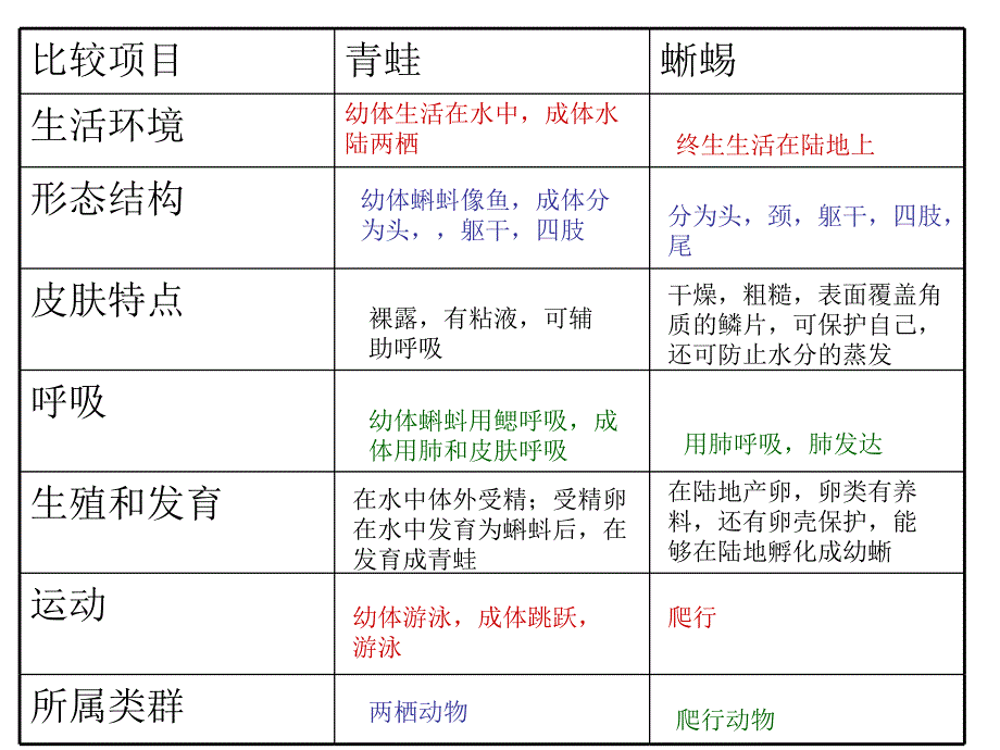 两栖动物和爬行动物4_第3页