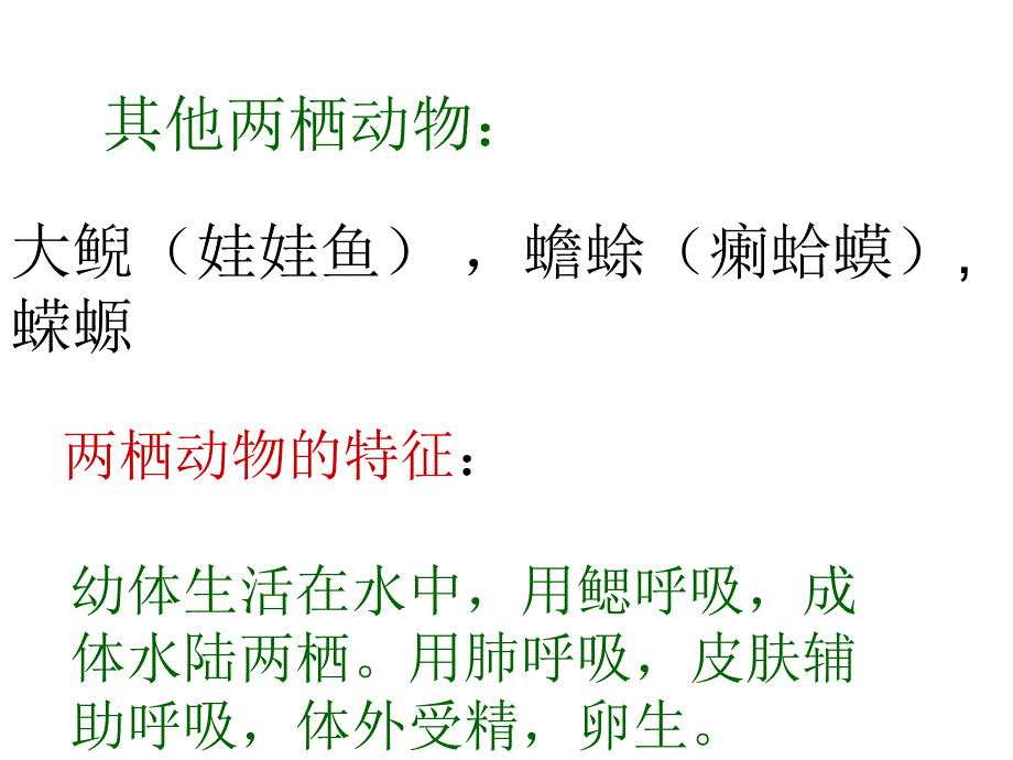 两栖动物和爬行动物4_第4页