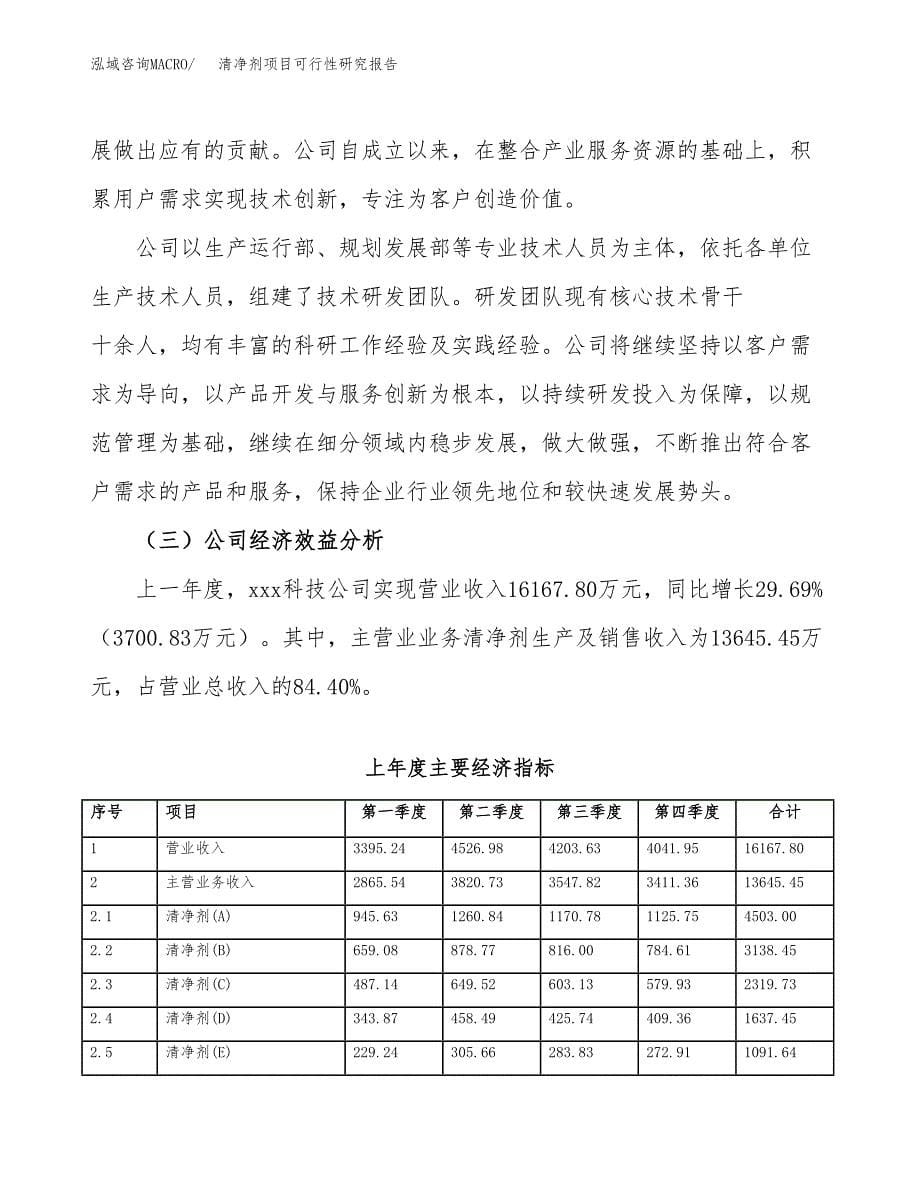 清净剂项目可行性研究报告（总投资12000万元）（55亩）_第5页