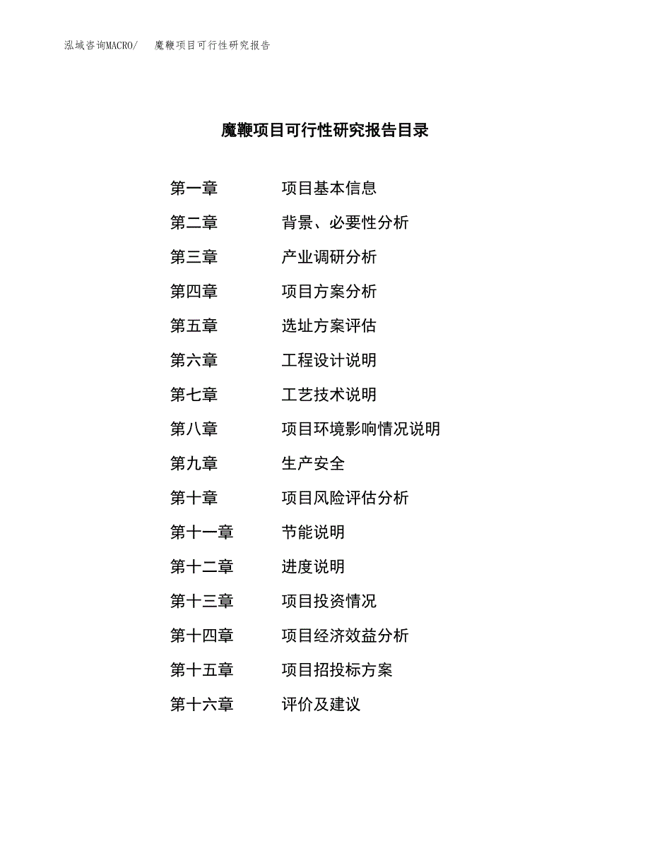 魔鞭项目可行性研究报告（总投资22000万元）（81亩）_第3页