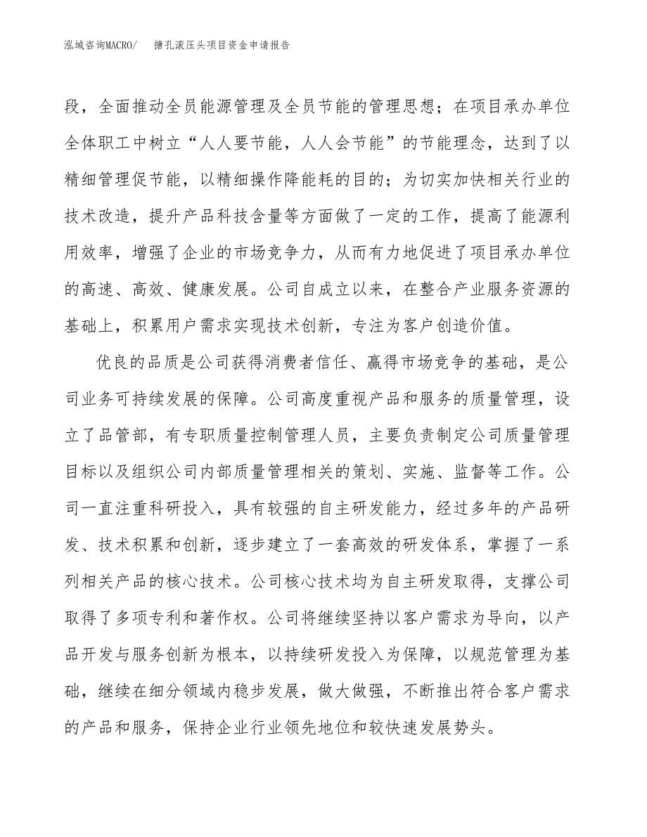 搪孔滚压头项目资金申请报告.docx_第5页