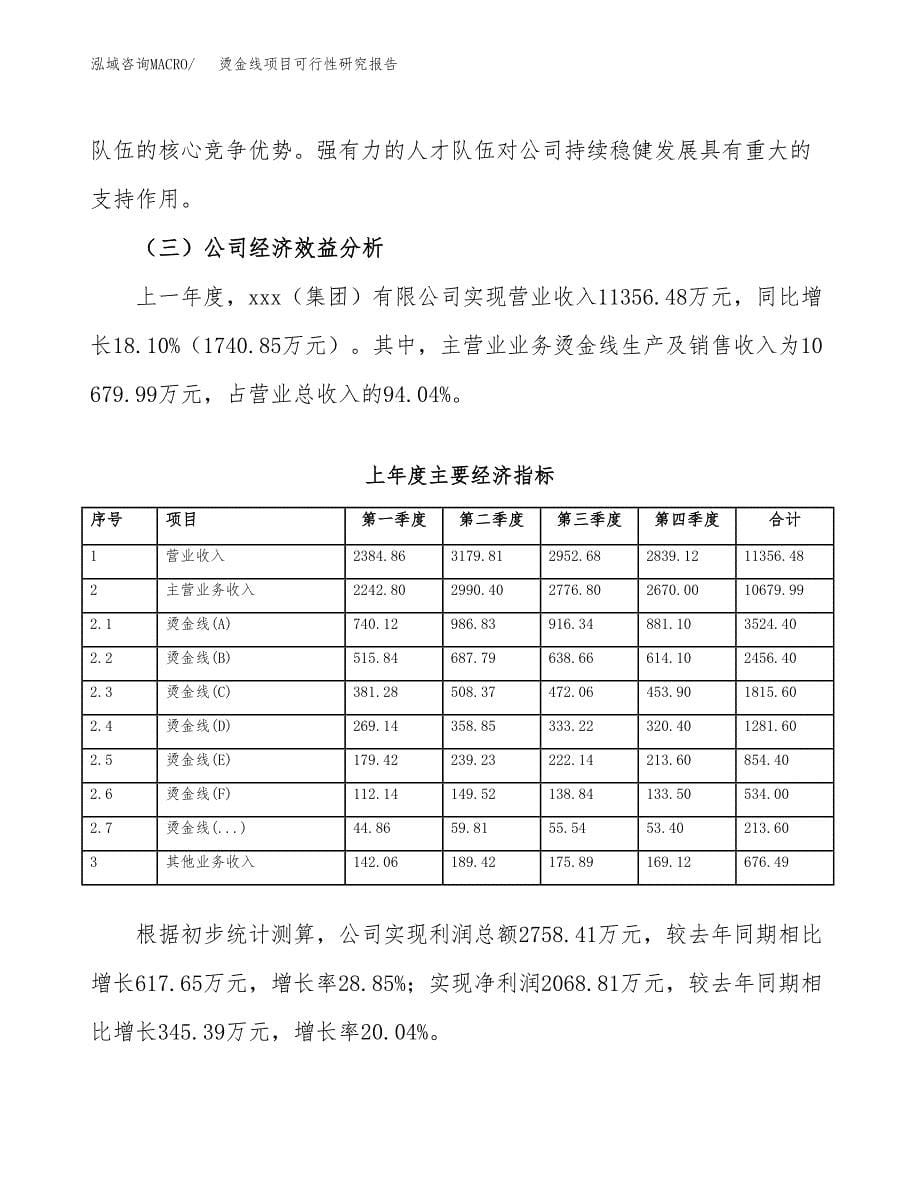 烫金线项目可行性研究报告（总投资7000万元）（30亩）_第5页