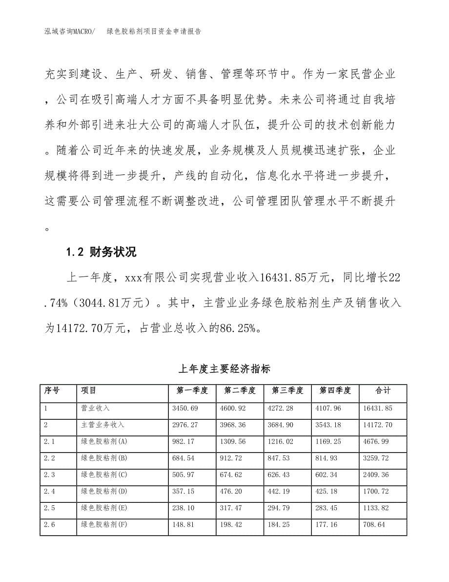 绿色胶粘剂项目资金申请报告.docx_第5页