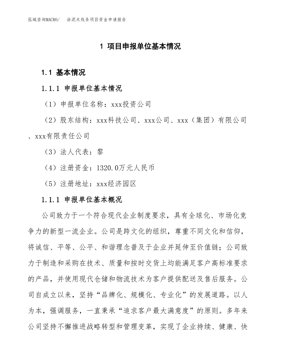 涂泥木线条项目资金申请报告.docx_第3页