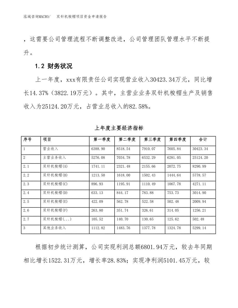 双针机梭帽项目资金申请报告.docx_第5页