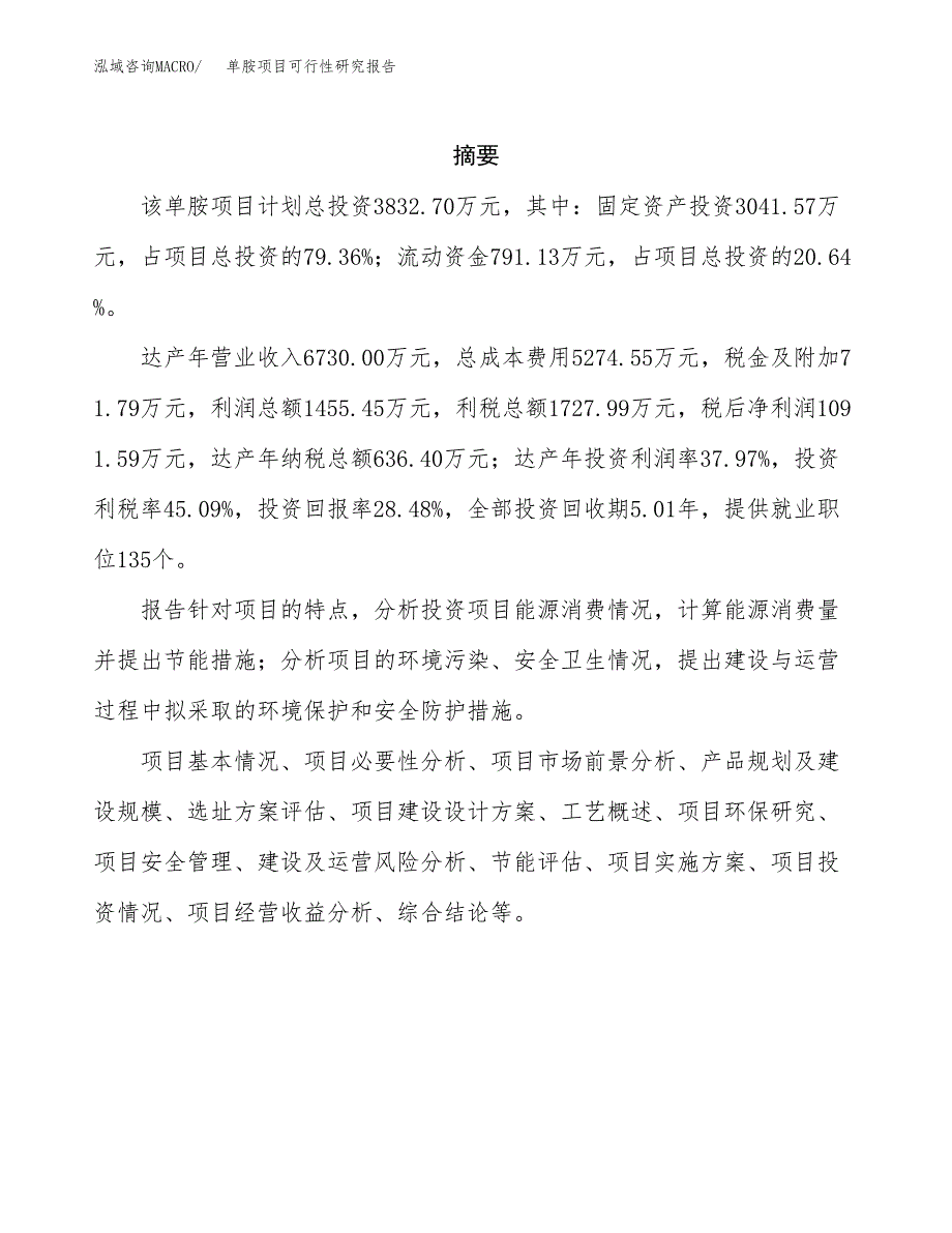 单胺项目可行性研究报告（总投资4000万元）（18亩）_第2页