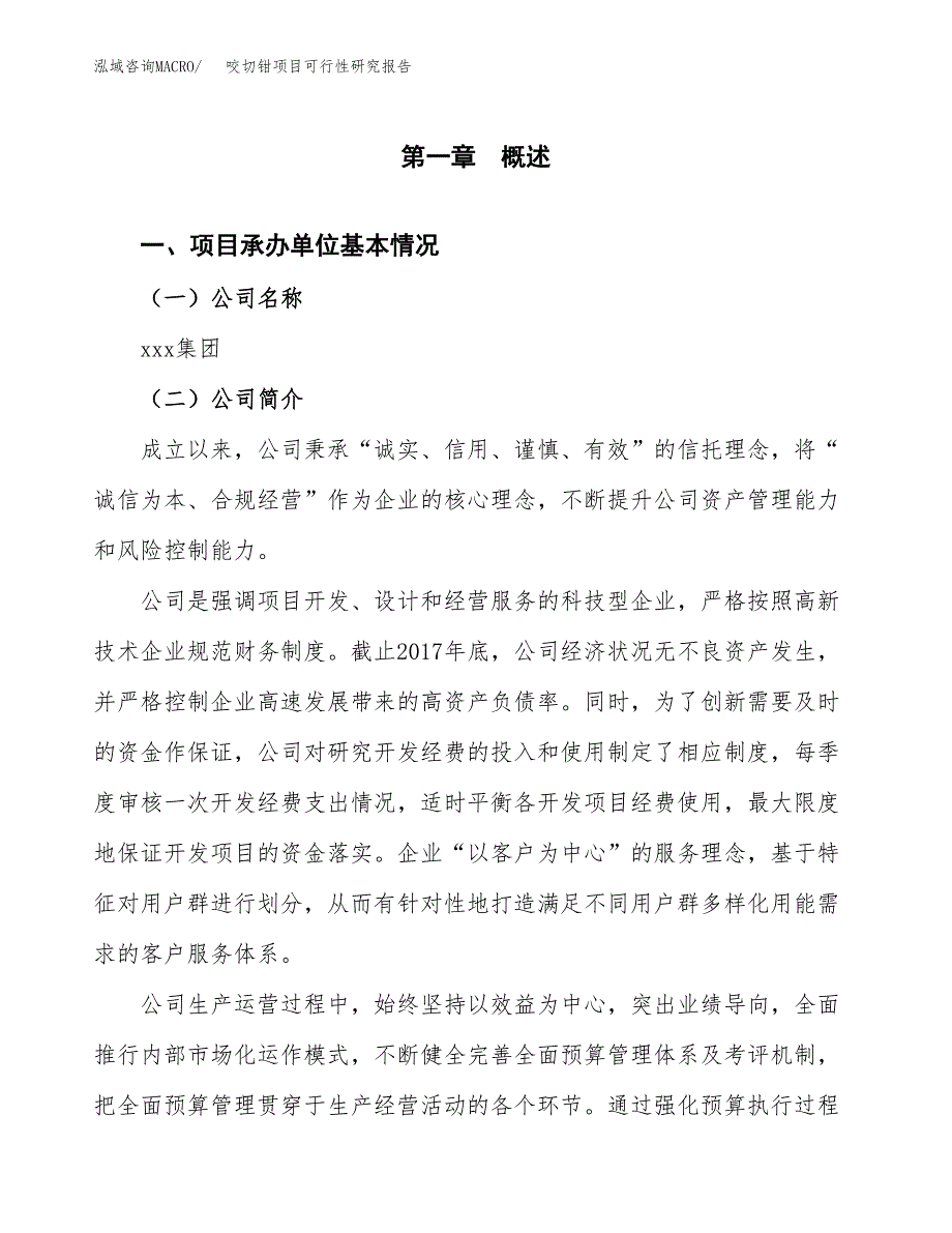 咬切钳项目可行性研究报告（总投资20000万元）（77亩）_第4页