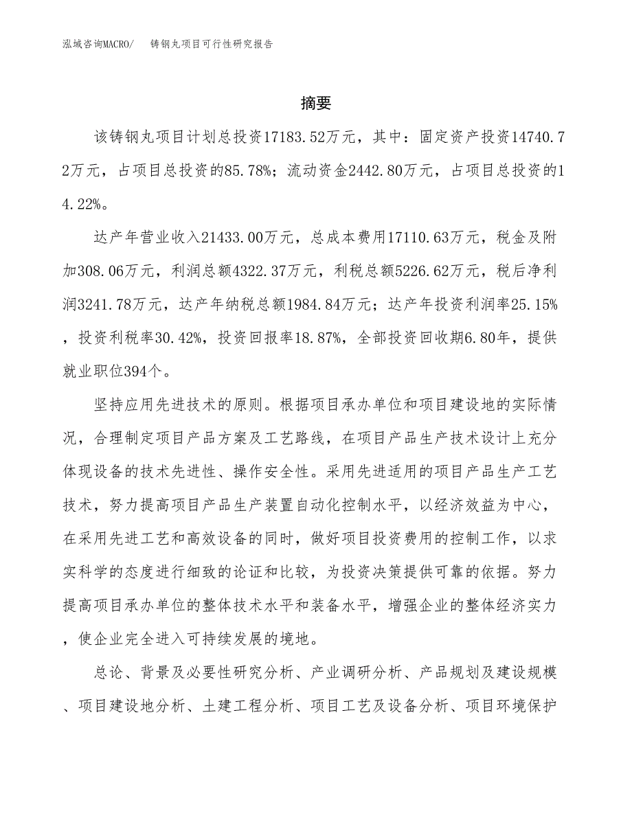 铸钢丸项目可行性研究报告（总投资17000万元）（89亩）_第2页