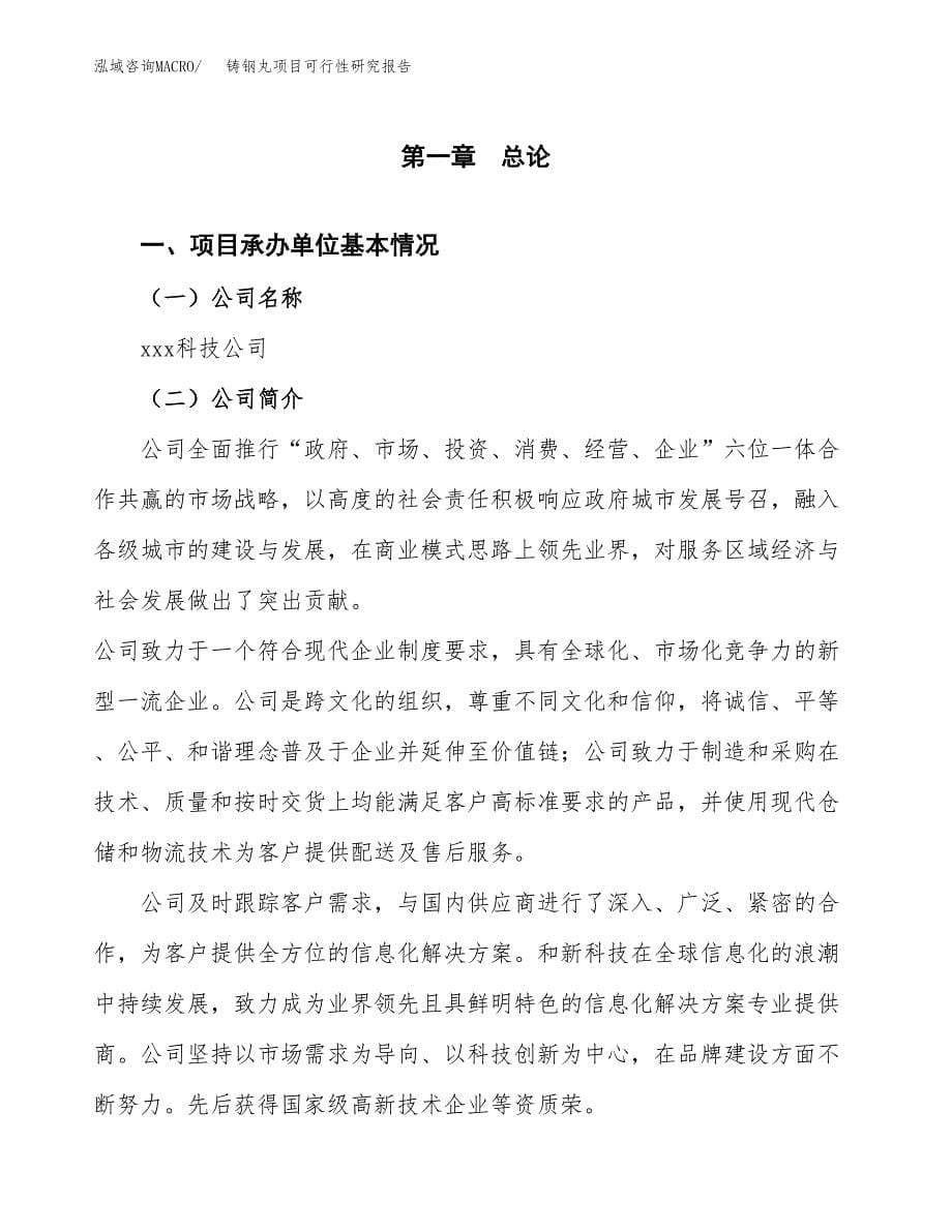 铸钢丸项目可行性研究报告（总投资17000万元）（89亩）_第5页