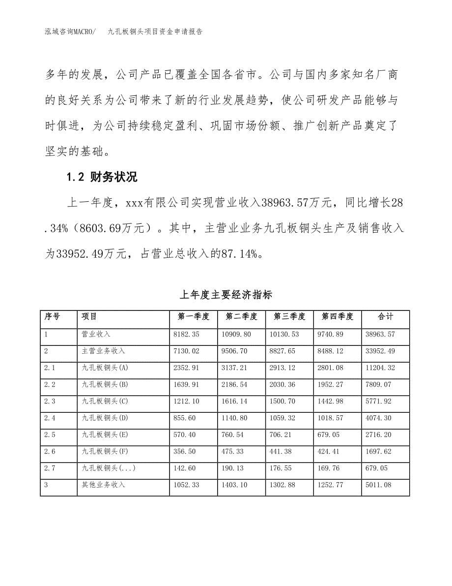 九孔板铜头项目资金申请报告.docx_第5页