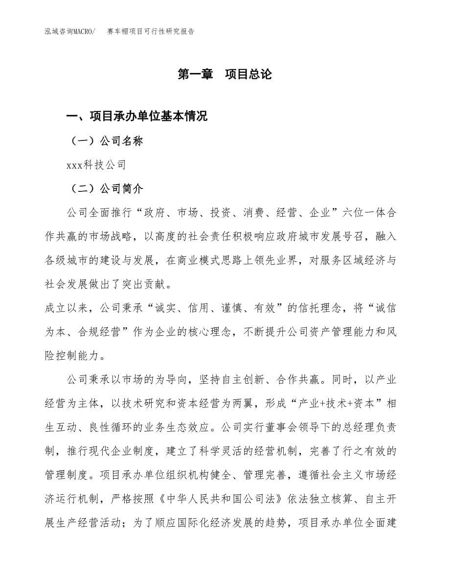 赛车帽项目可行性研究报告（总投资4000万元）（16亩）_第5页